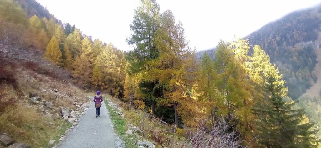 Laghi.......del TRENTINO